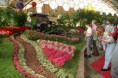 /album/galeria-de-fotos/a4abbe3e85d722-jpg/
